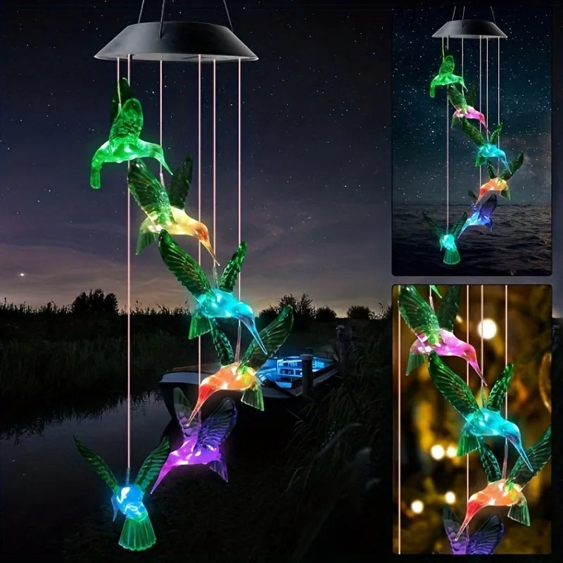 LUCES SOLARES DE COLIBRÍES™✨🌙