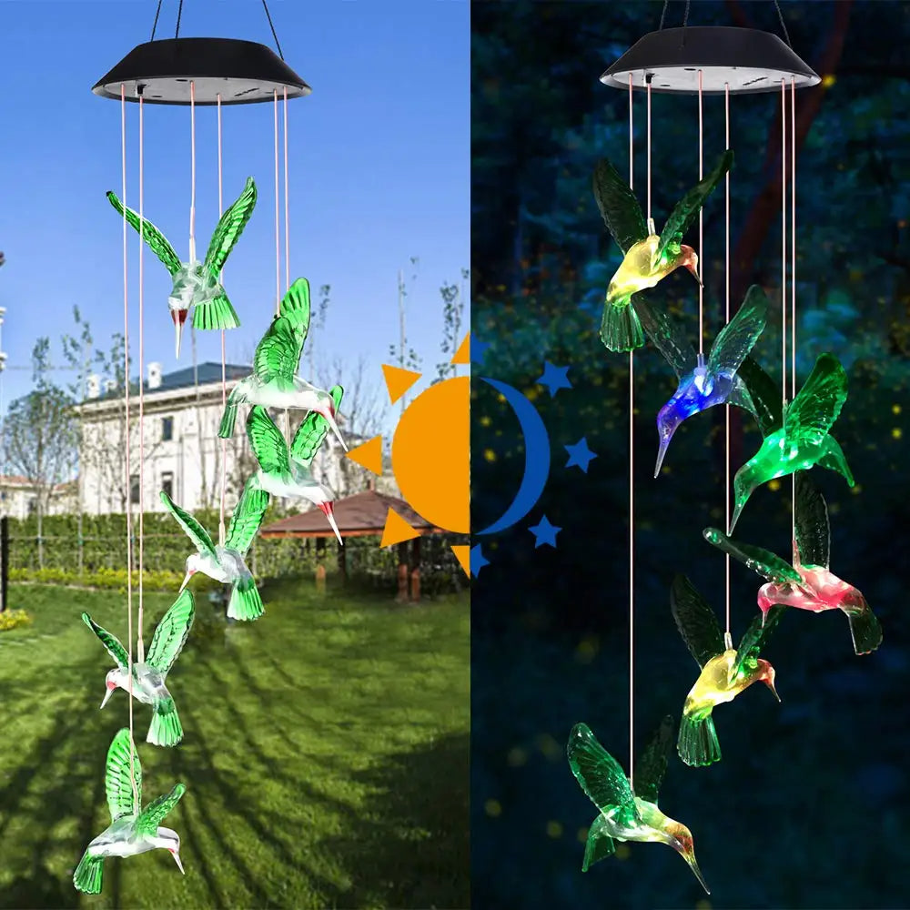 LUCES SOLARES DE COLIBRÍES™✨🌙