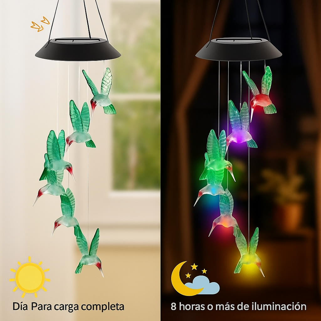 LUCES SOLARES DE COLIBRÍES™✨🌙