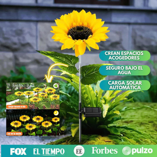 Girasolux® LUCES SOLARES DE GIRASOLES🌻