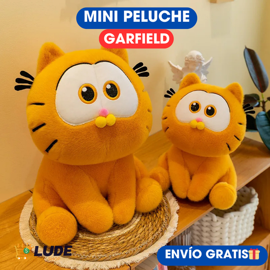 MINI PELUCHE GARFIELD™/UN REGALO MUY ESPECIAL🎁